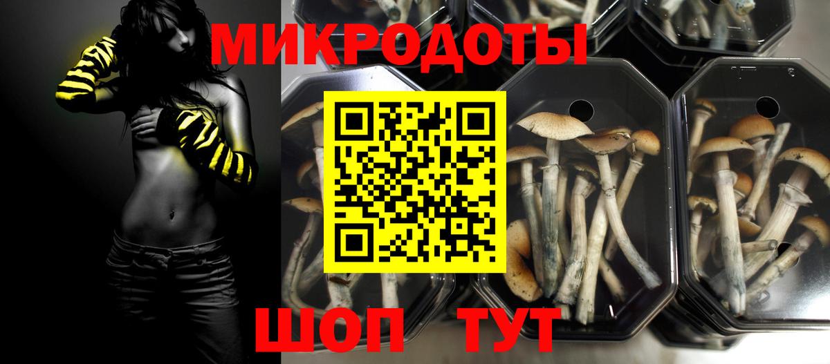 Псилоцибиновые грибы GOLDEN TEACHER Острогожск